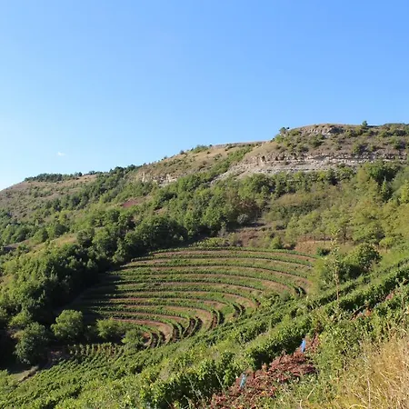 Domaine D'exception, Maison D'artiste * Clairvaux-d'Aveyron