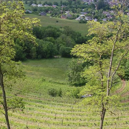 Domaine D'exception, Maison D'artiste Вилла