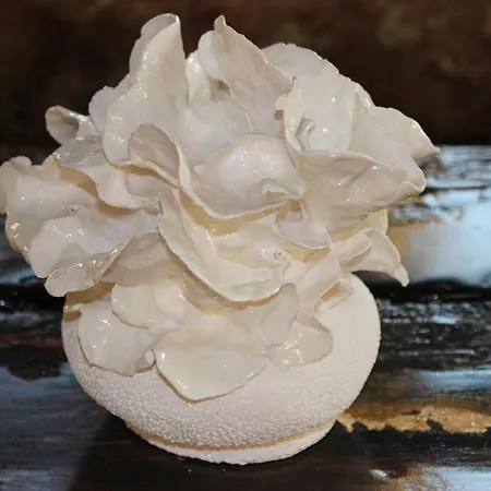 Вилла Domaine D'exception, Maison D'artiste *