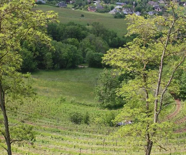 Domaine D'exception, Maison D'artiste Villa