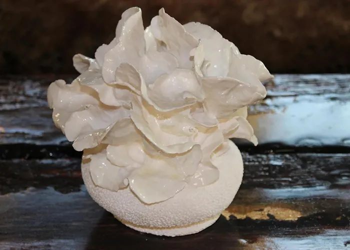 Villa Domaine D'exception, Maison D'artiste *